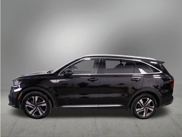 Used 2023 Kia Sorento SX Prestige image 2
