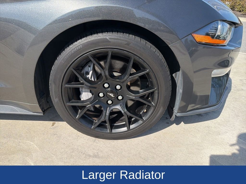 Used 2019 Ford Mustang Coupe w/ Ecoboost Performance Package image 11