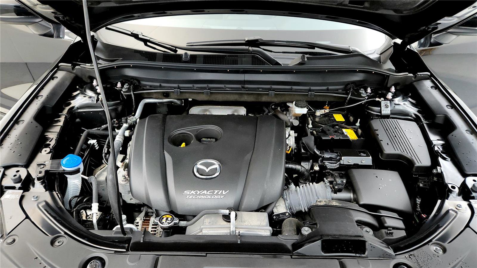 Used 2019 MAZDA CX-5 Sport image 15