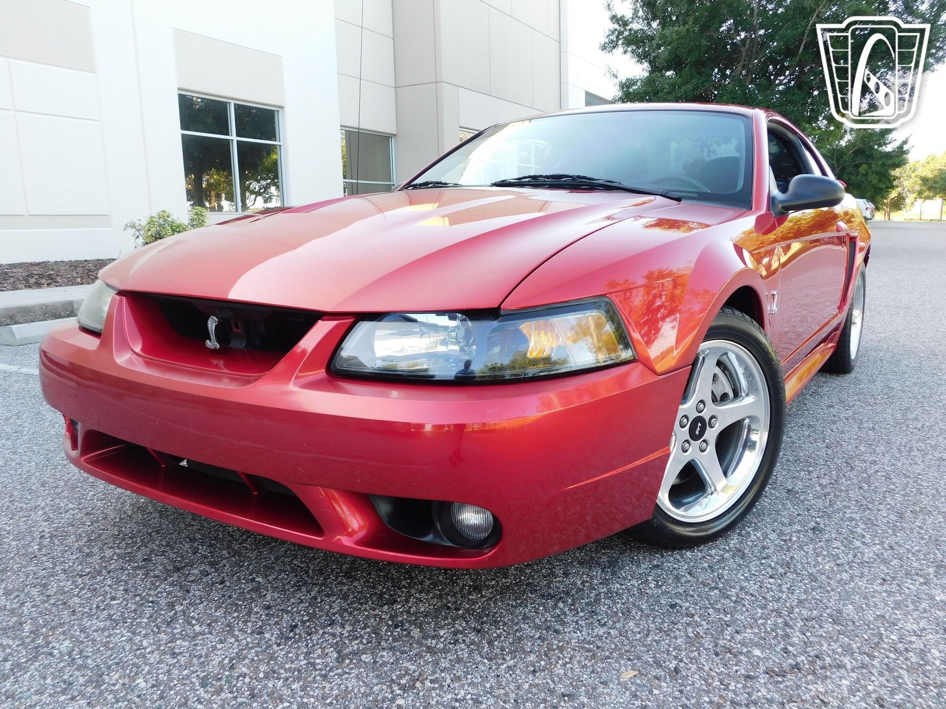 Used 2001 Ford Mustang Cobra image 39