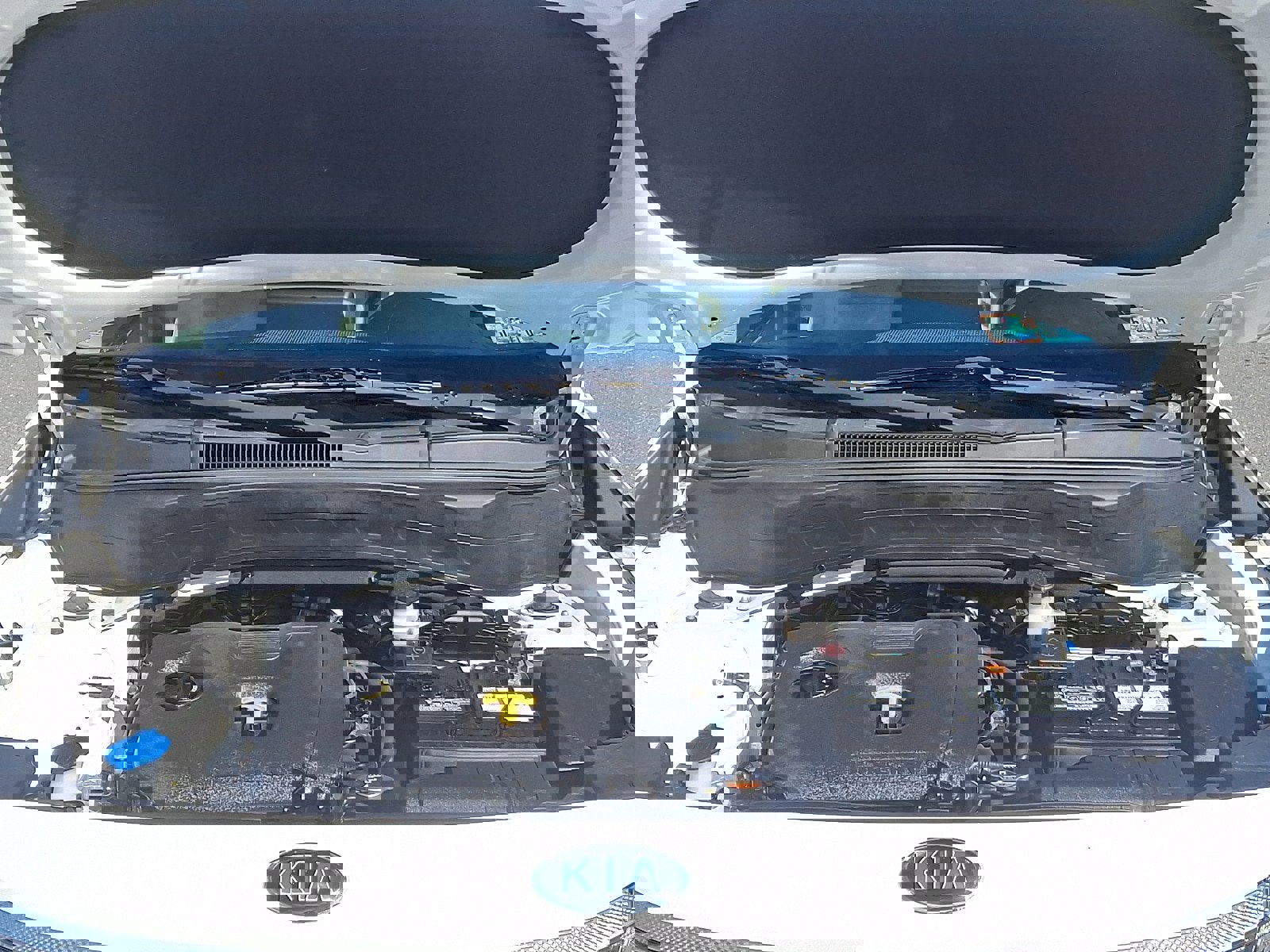 Used 2021 Kia Seltos EX image 28