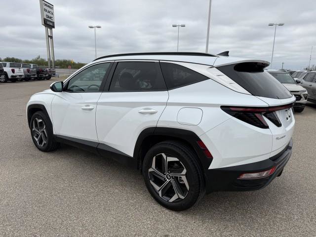 Used 2022 Hyundai Tucson SEL w/ Convenience + Premium Package image 6