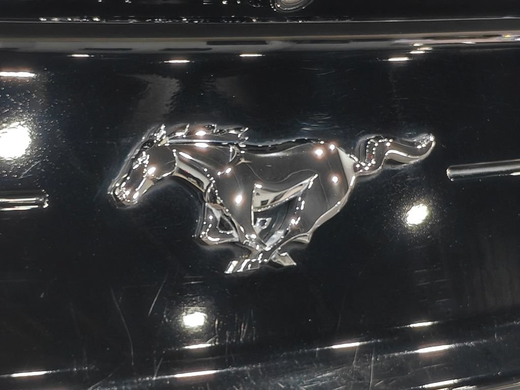 Used 2019 Ford Mustang Premium w/ Equipment Group 201A RWD image 63