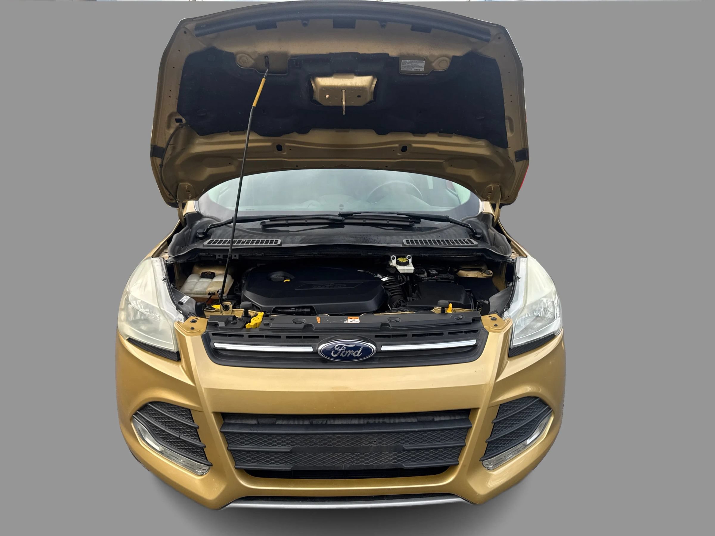 Used 2014 Ford Escape SE AWD/4WD image 13