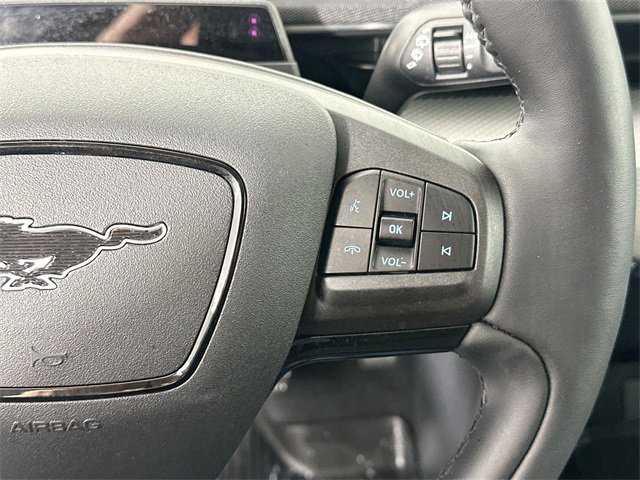 Used 2022 Ford Mustang Mach-E California Route 1 image 22