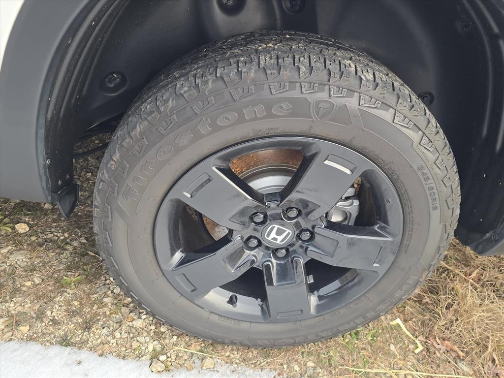 Used 2024 Honda Ridgeline Black Edition image 5