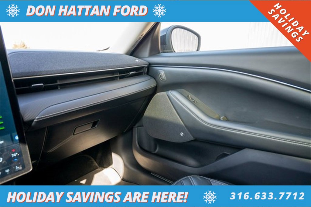 Used 2021 Ford Mustang Mach-E Premium image 17