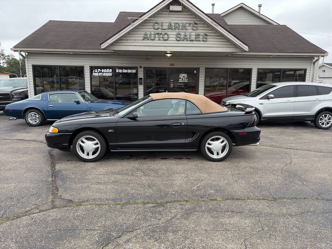 Used 1995 Ford Mustang GT RWD image 1