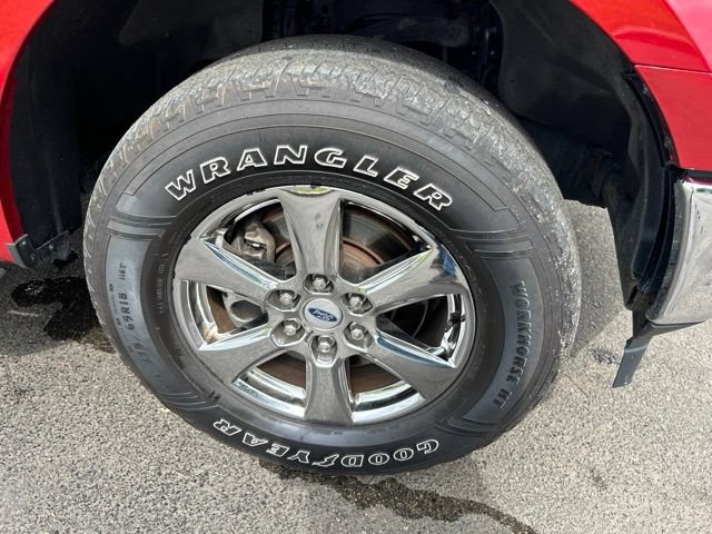 Used 2020 Ford F150 XLT w/ Equipment Group 302A Luxury AWD/4WD image 50
