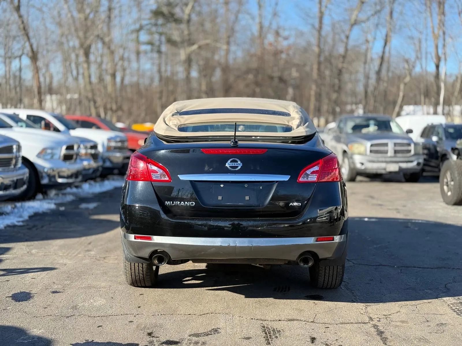 Used 2014 Nissan Murano CrossCabriolet w/ Navigation Package image 5