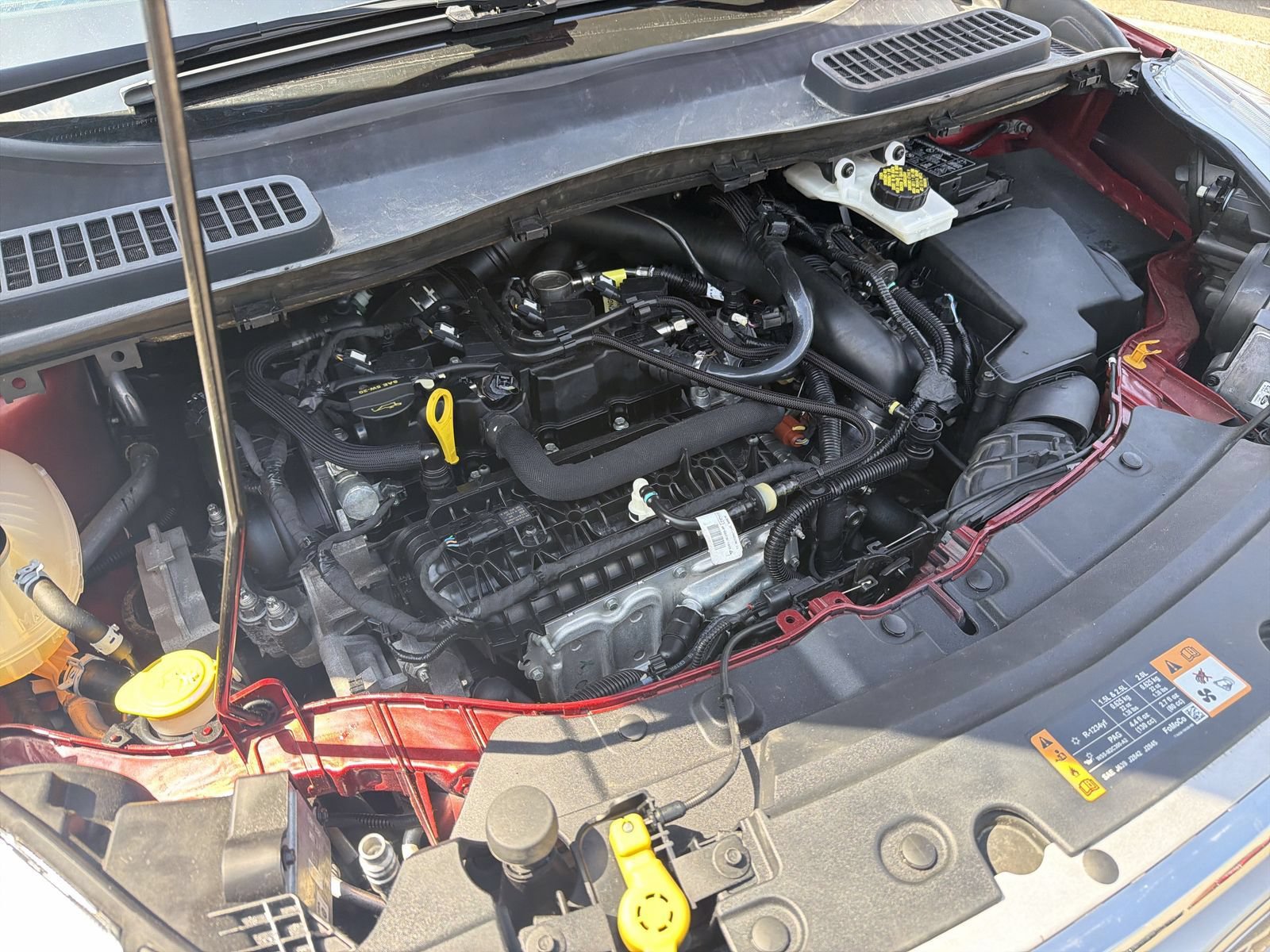 Used 2019 Ford Escape SEL FWD image 20
