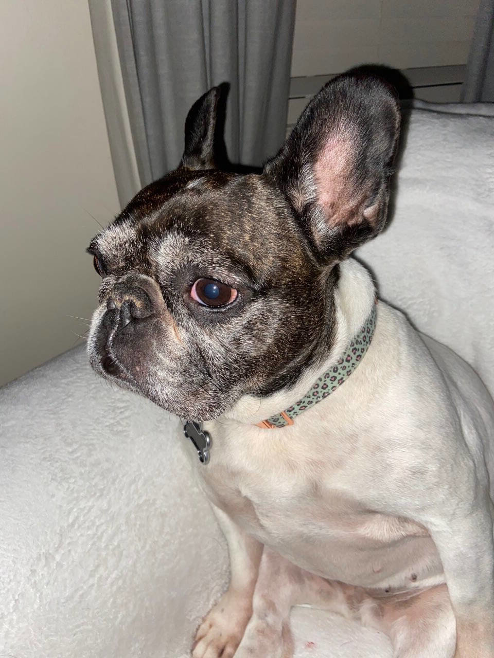 Used 2020 Hyundai Tucson SE image 37