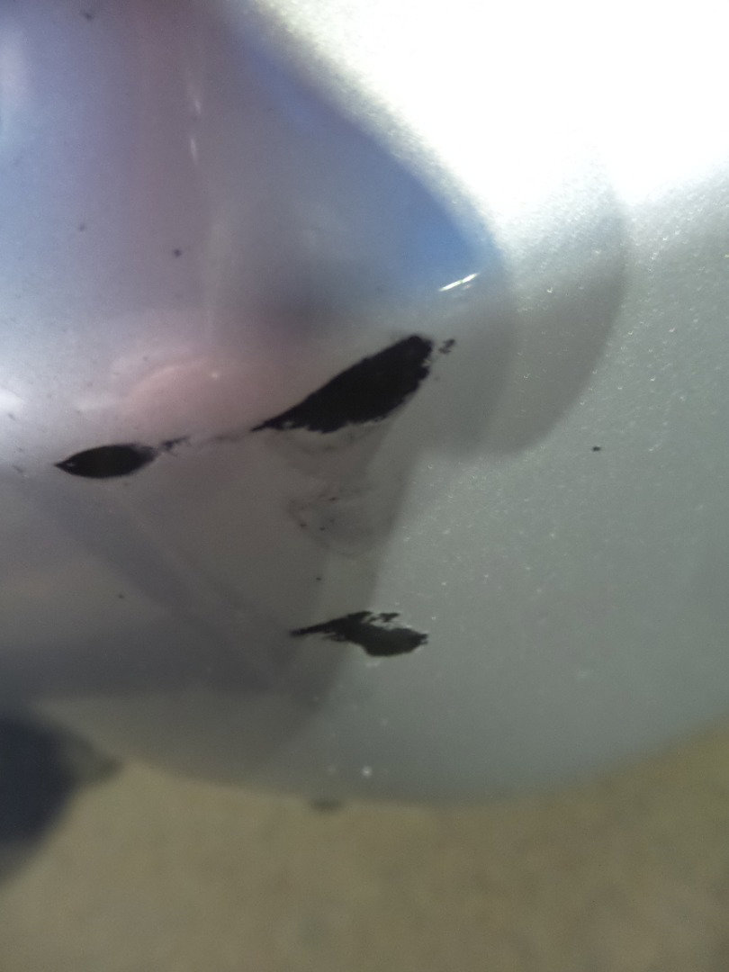 Used 2012 Toyota 4Runner SR5 image 32