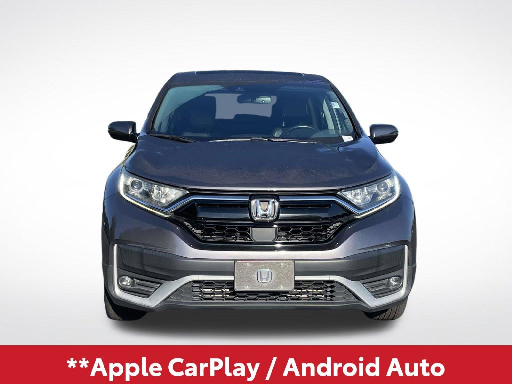 Used 2020 Honda CR-V EX-L image 3