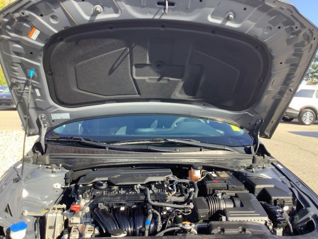 Certified 2024 Hyundai Elantra SE FWD image 12