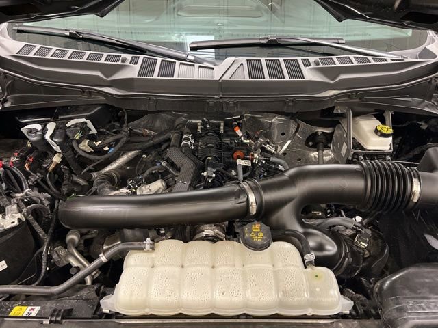Used 2025 Ford F150 XLT w/ Equipment Group 301A Standard AWD/4WD image 17