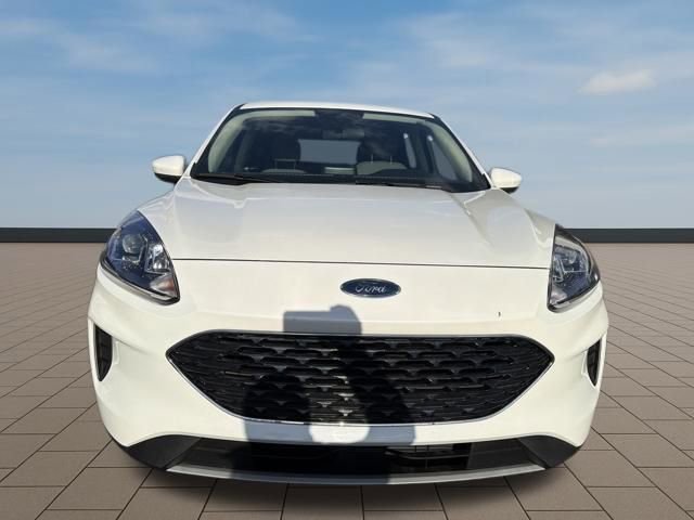 Used 2020 Ford Escape SE image 11