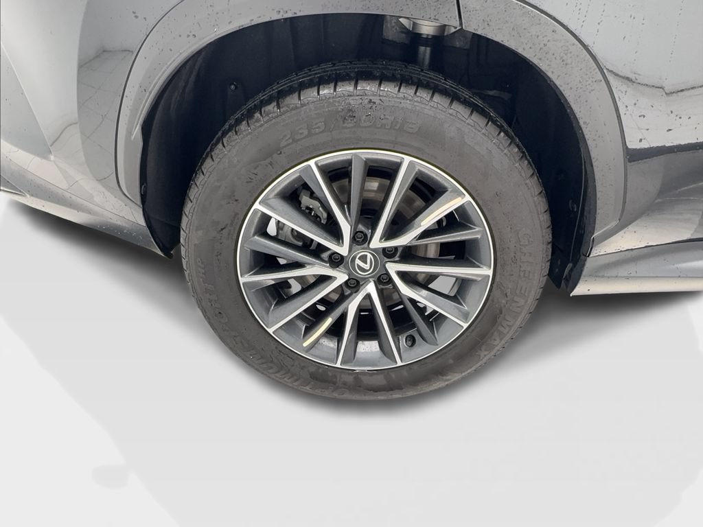 Used 2025 Lexus NX 250 FWD w/ Cold Area Package image 14