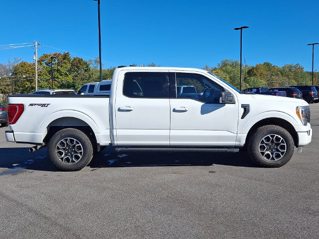 Used 2023 Ford F150 XLT w/ Equipment Group 302A High AWD/4WD image 10
