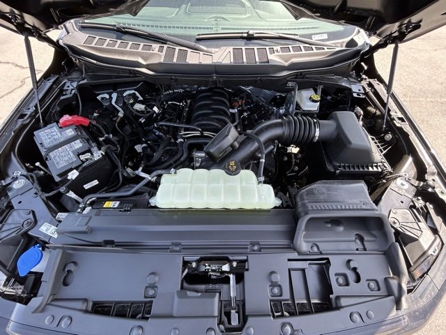 New 2025 Ford F150 XLT w/ Equipment Group 301A Standard image 37