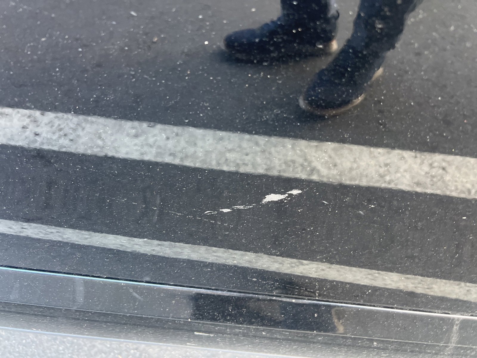 Used 2021 Porsche 911 Carrera image 5