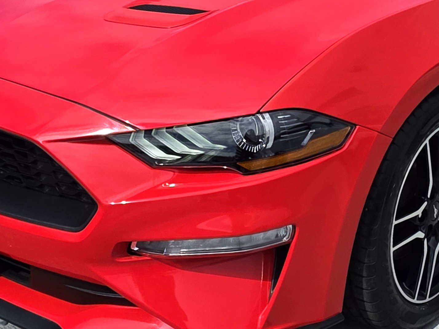 Used 2023 Ford Mustang Premium RWD image 8