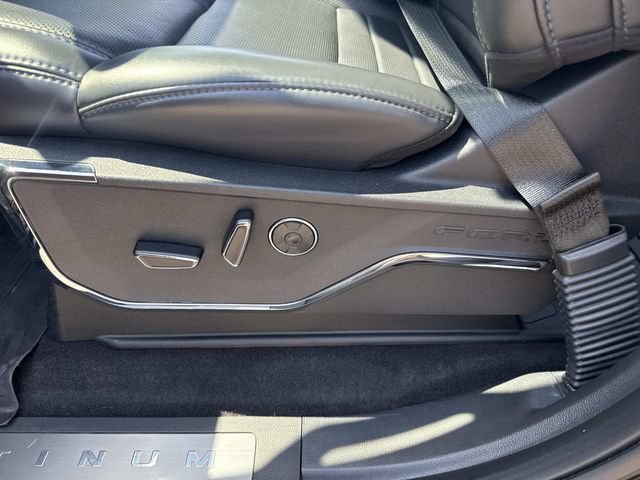 Used 2025 Ford F150 Platinum AWD/4WD image 18