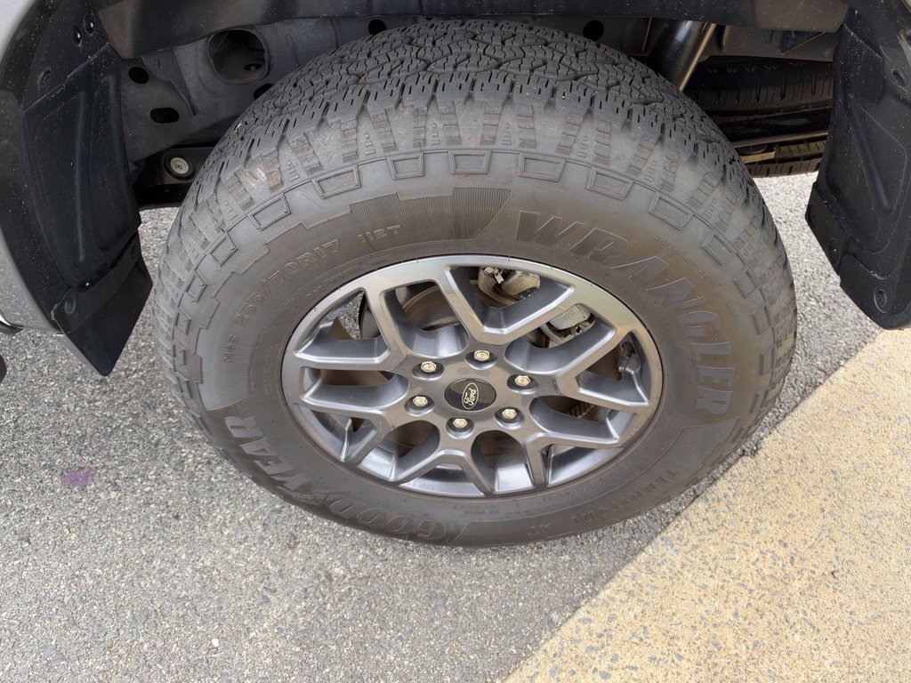 Used 2024 Ford Ranger XLT AWD/4WD image 14
