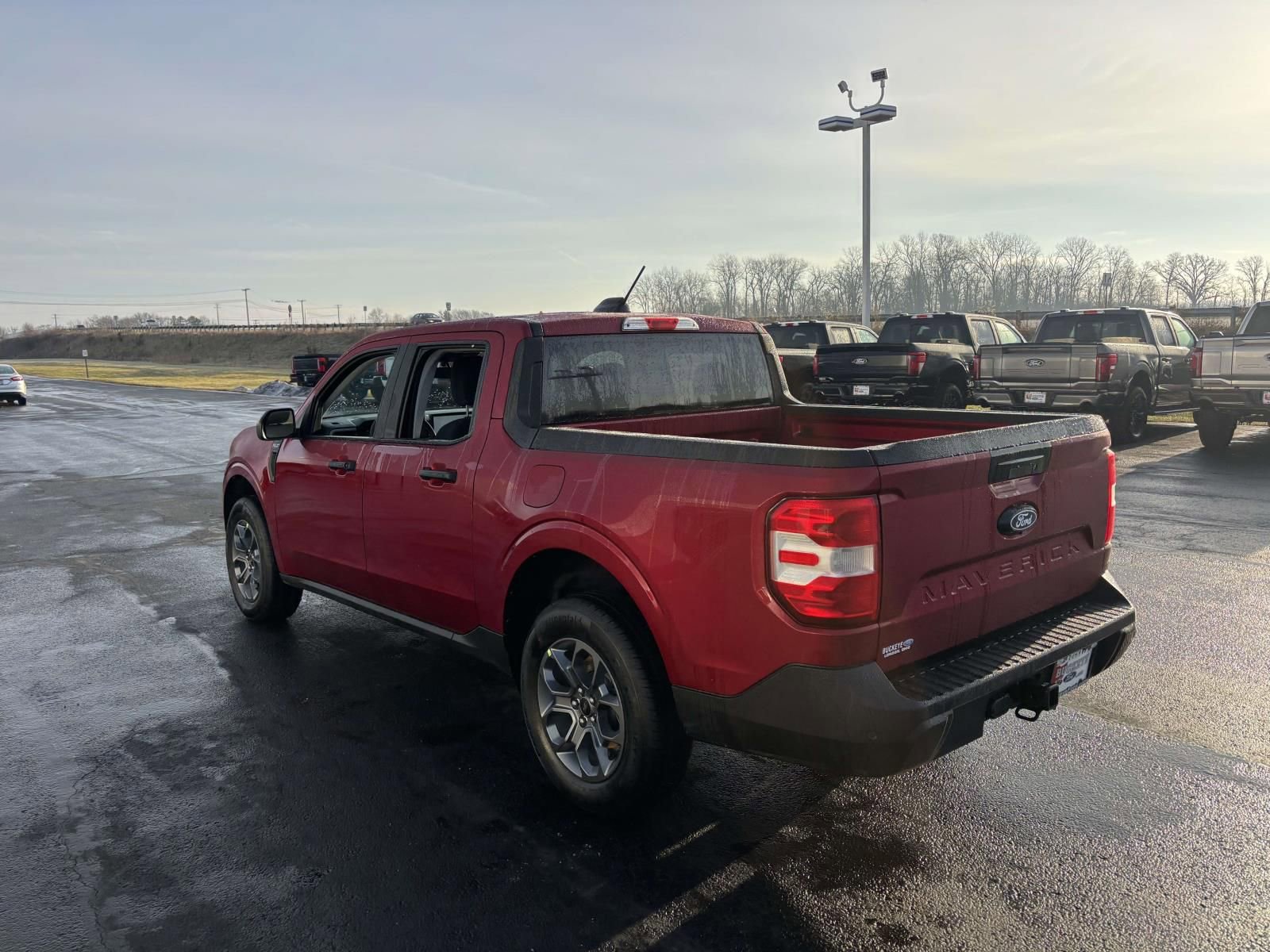 New 2025 Ford Maverick XLT w/ Equipment Group 301A image 5