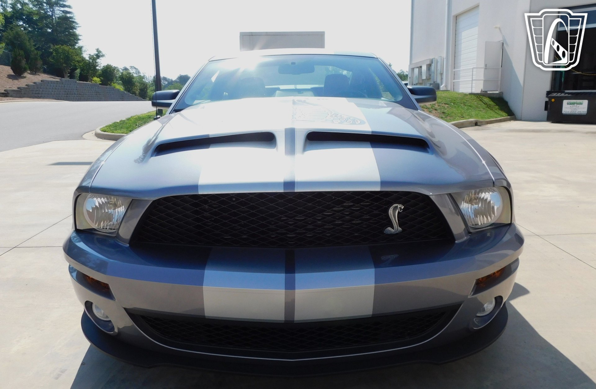 Used 2007 Ford Mustang Shelby GT500 RWD image 3