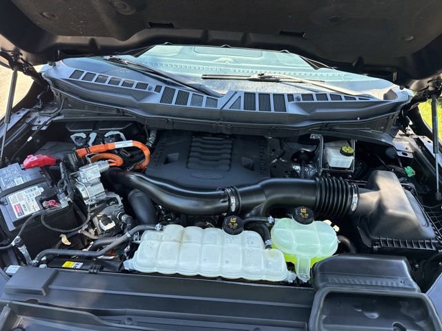 Used 2023 Ford F150 XLT w/ Equipment Group 302A High AWD/4WD image 48