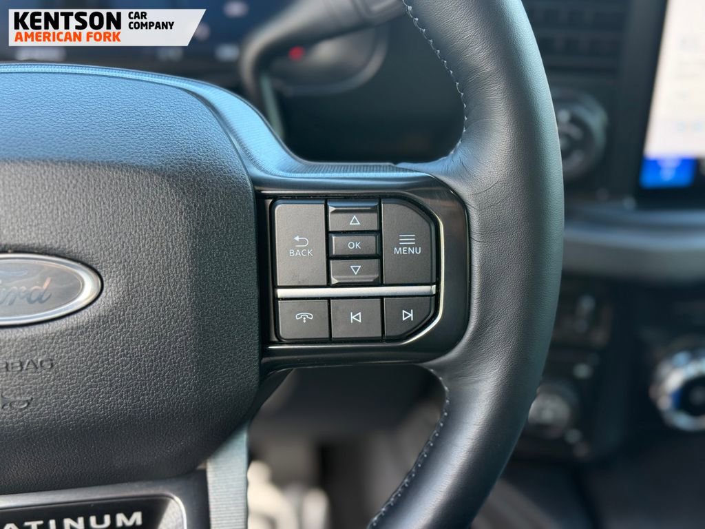 Used 2025 Ford F250 Platinum w/ Tremor Off-Road Package AWD/4WD image 19