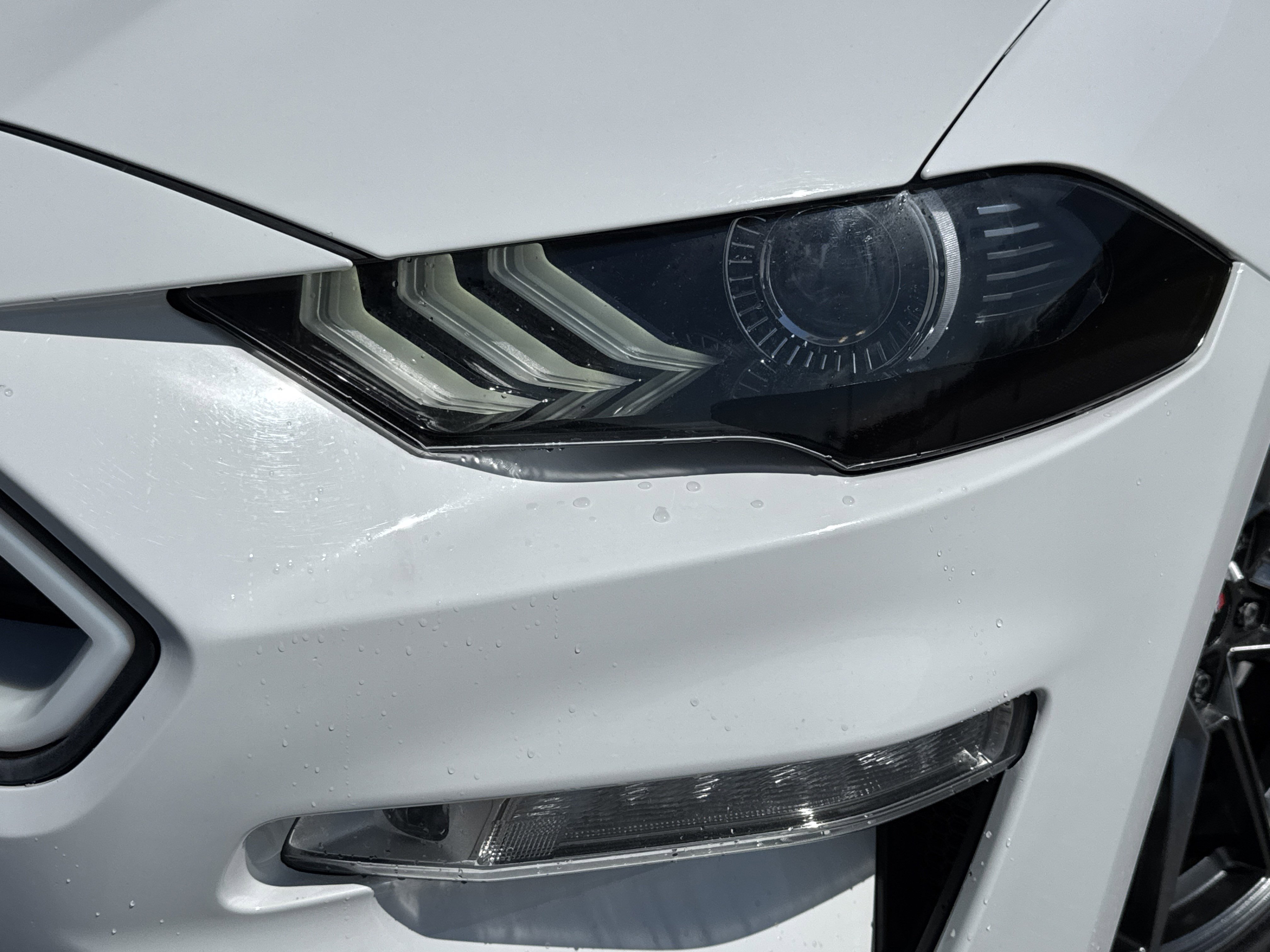 Used 2018 Ford Mustang GT Premium image 6