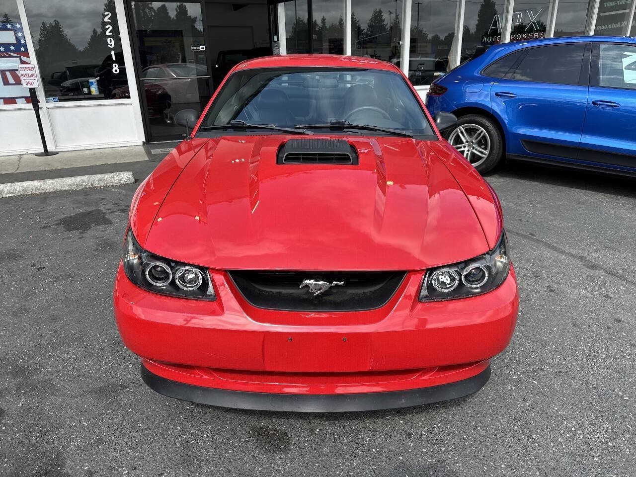 Used 2003 Ford Mustang Mach 1 RWD image 8