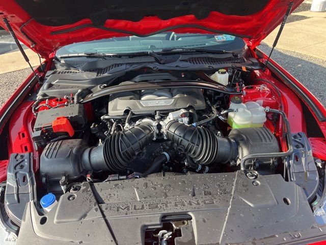 New 2026 Ford Mustang GT w/ GT Performance Package RWD image 18