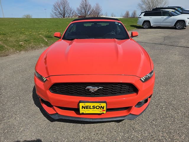 Used 2016 Ford Mustang Convertible w/ Equipment Group 051A RWD image 8