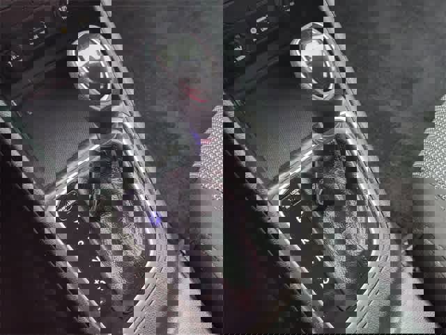 Used 2019 Hyundai Accent SE image 15