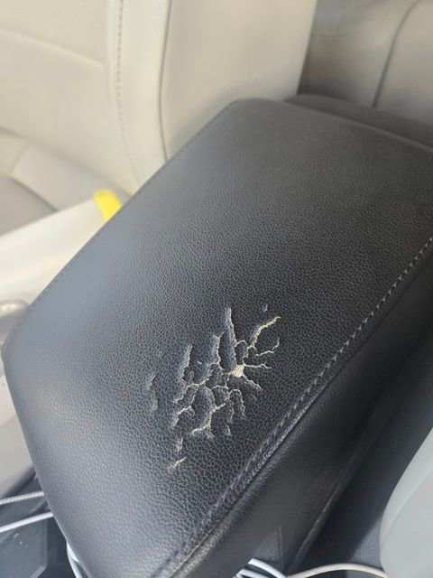 Used 2019 Volkswagen Tiguan SEL image 10