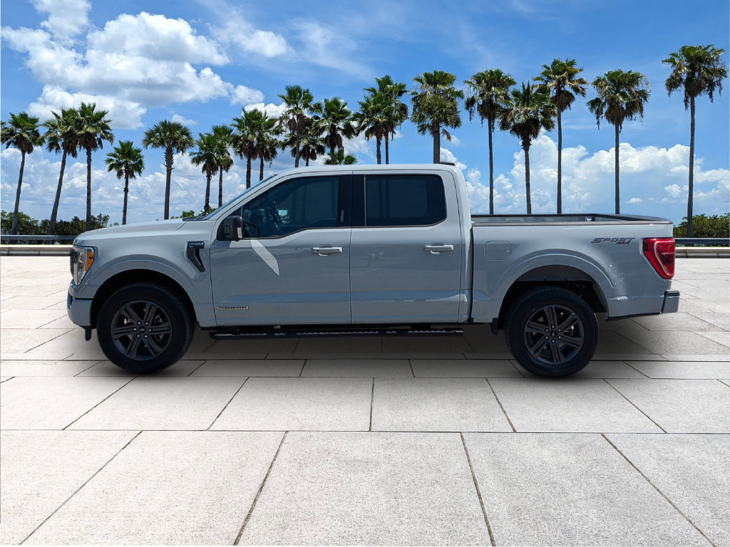 Used 2023 Ford F150 XLT w/ Equipment Group 302A High AWD/4WD image 4