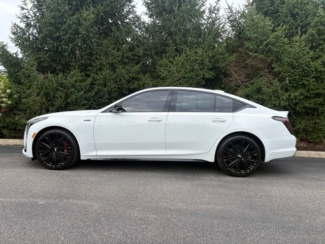 Used 2025 Cadillac CT5 V w/ Platinum Package AWD/4WD image 2
