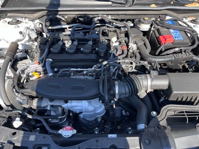Used 2024 Honda Civic Touring image 7