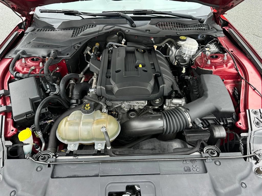Used 2019 Ford Mustang Premium w/ Equipment Group 201A RWD image 28