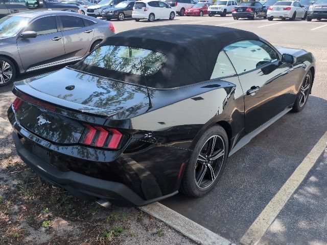 Used 2024 Ford Mustang Premium RWD image 2