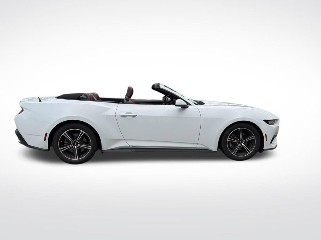 Used 2024 Ford Mustang Premium RWD image 4