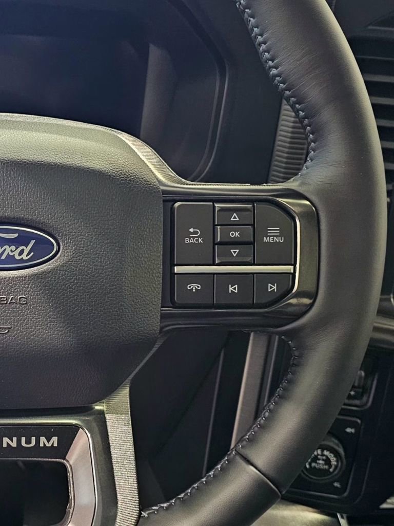 New 2025 Ford F150 Platinum w/ Equipment Group 702A High image 20