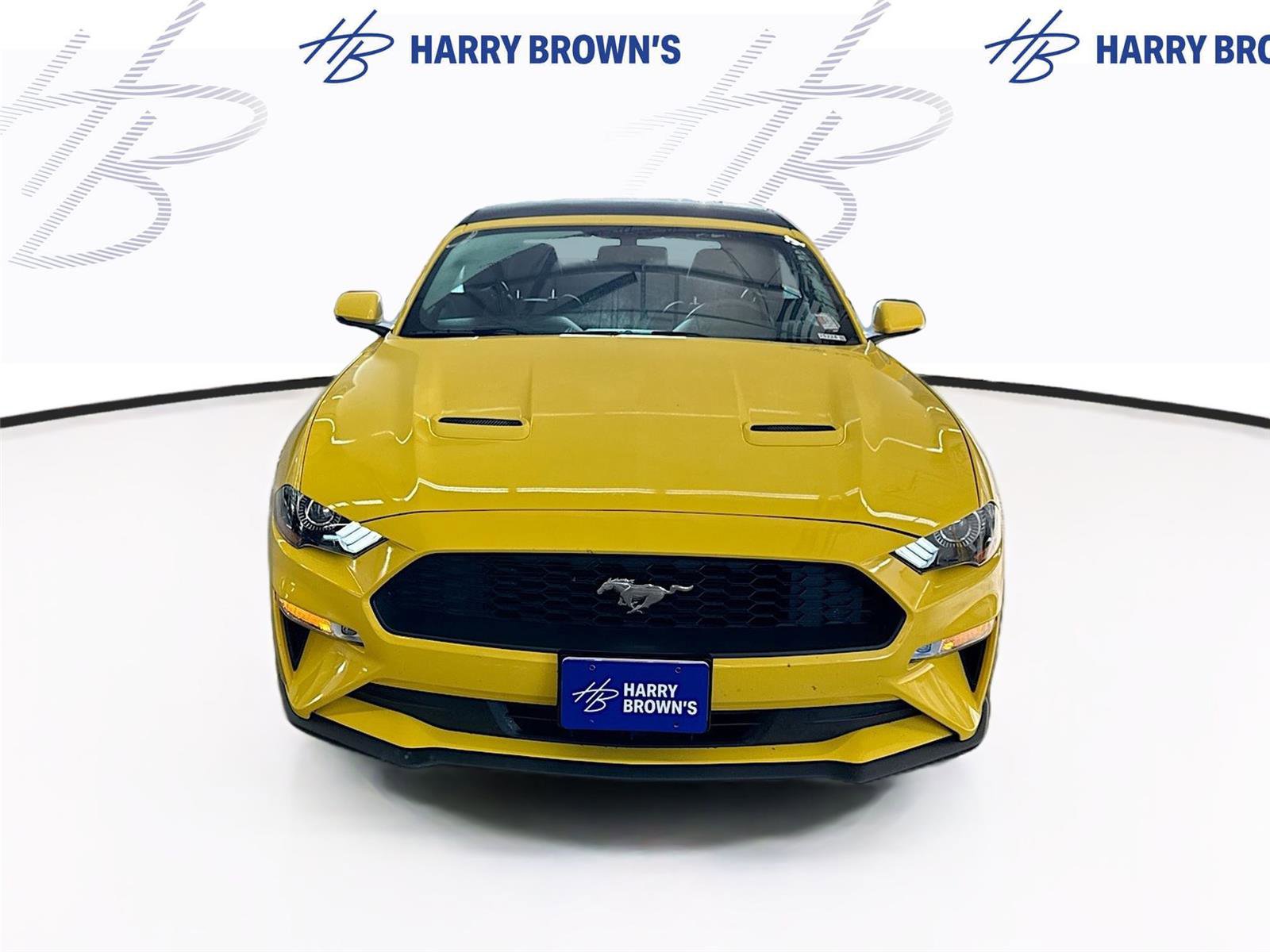 Used 2018 Ford Mustang Premium w/ Equipment Group 201A RWD image 6