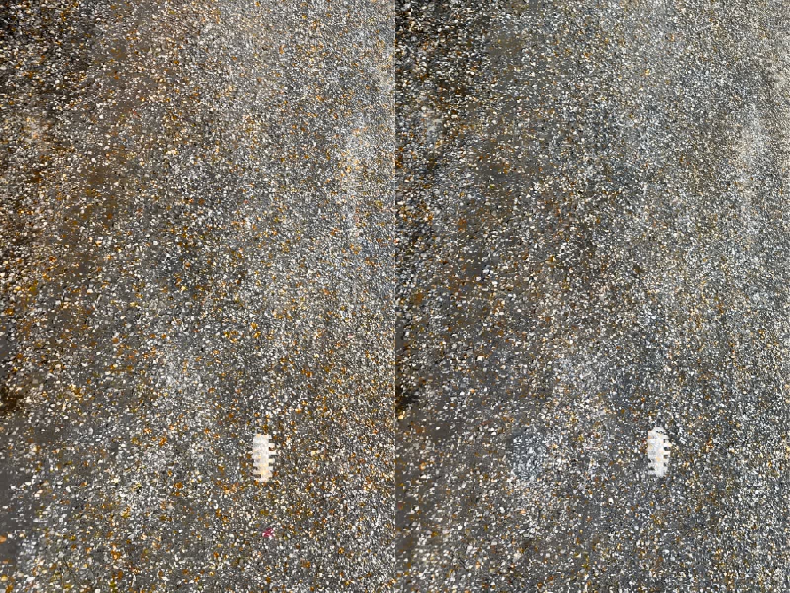 Used 2016 Chevrolet Silverado 1500 LT w/ All Star Edition image 13