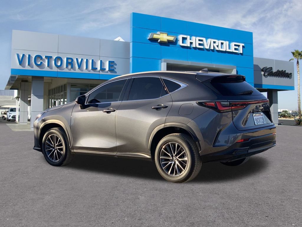 Used 2025 Lexus NX 250 AWD w/ Cold Area Package image 6