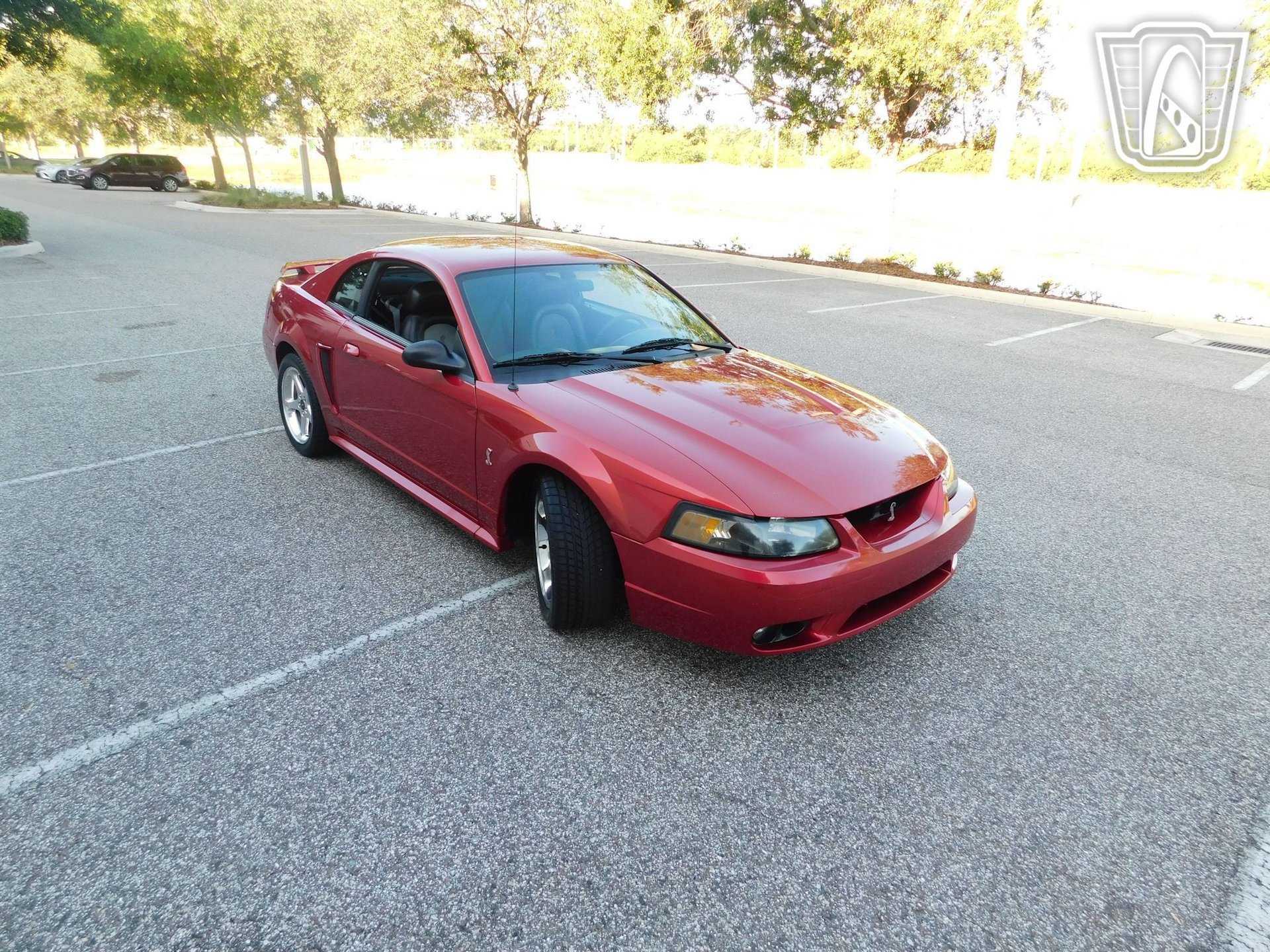 Used 2001 Ford Mustang Cobra image 8
