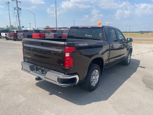 Used 2019 Chevrolet Silverado 1500 LT w/ All-Star Edition image 6
